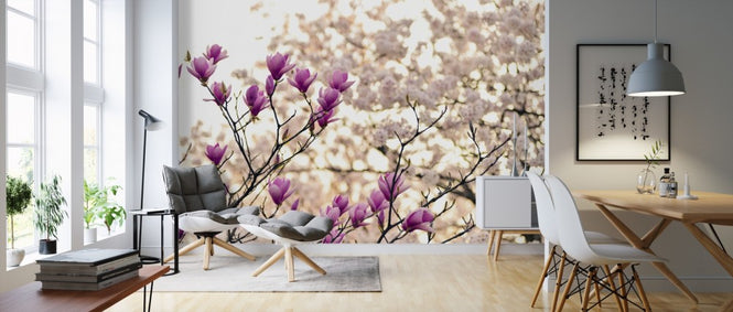 PHOTOWALL / Magnolia Flowers (e310184)