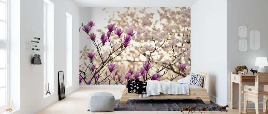 PHOTOWALL / Magnolia Flowers (e310184)