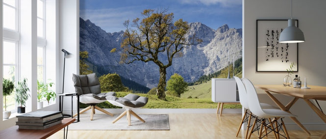 PHOTOWALL / The Tree (e310212)