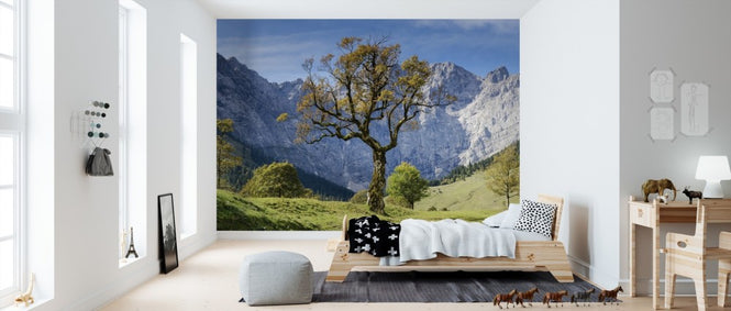 PHOTOWALL / The Tree (e310212)