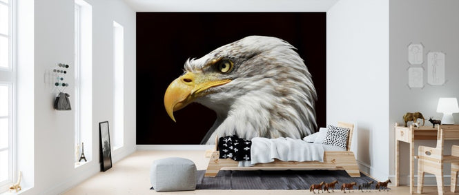PHOTOWALL / Bald Eagle (e310220)