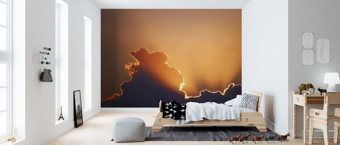 PHOTOWALL / Golden Sky (e310231)