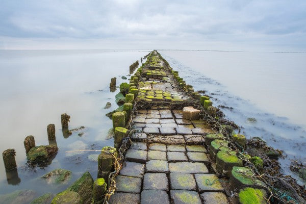 PHOTOWALL / Stone Pathway (e310237)