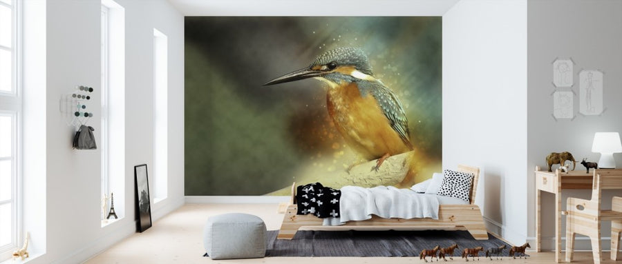 PHOTOWALL / Perched Kingfisher (e310238)