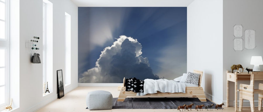 PHOTOWALL / Clouds (e310241)
