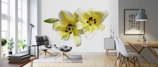 PHOTOWALL / Lilies Flower (e310243)