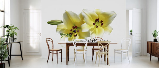 PHOTOWALL / Lilies Flower (e310243)