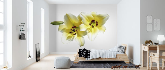 PHOTOWALL / Lilies Flower (e310243)