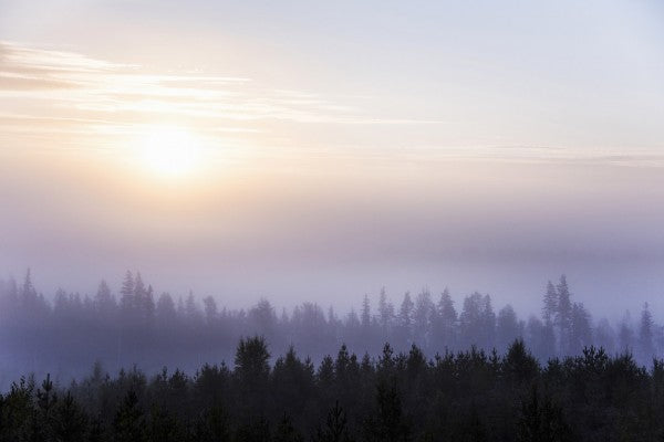 PHOTOWALL / Peaceful Sunrise (e310329)