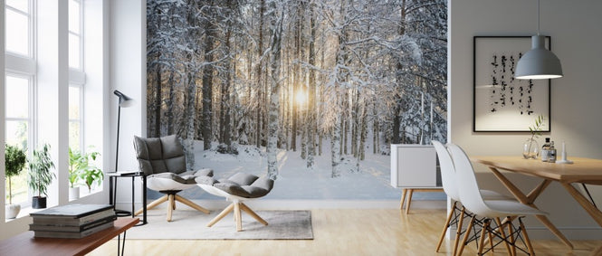 PHOTOWALL / Winter Birches (e310344)