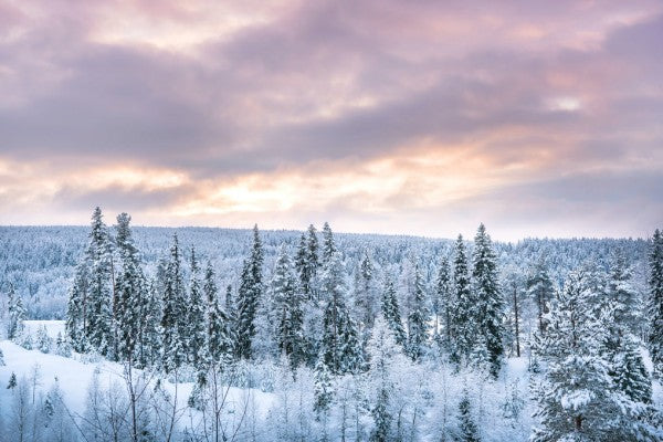 PHOTOWALL / Winter is Coming (e310345)