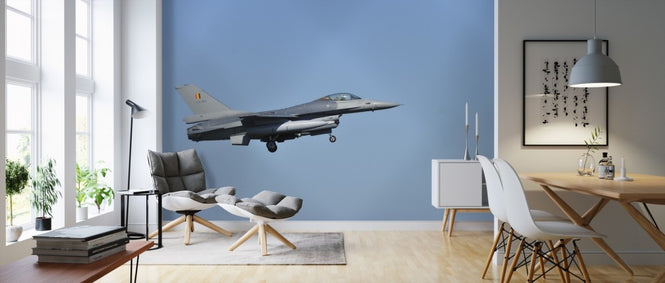 PHOTOWALL / F16 Fighter Jet (e310264)