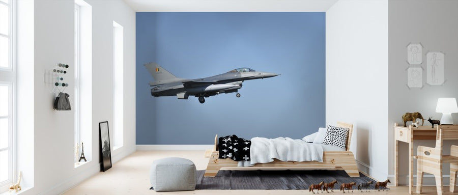 PHOTOWALL / F16 Fighter Jet (e310264)