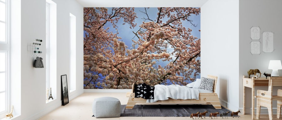 PHOTOWALL / Cherry Blossom Tree (e310265)