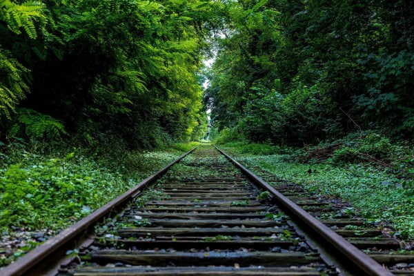 PHOTOWALL / Railroad Tracks (e310289)