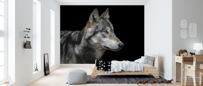 PHOTOWALL / Wolf (e310296)