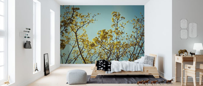 PHOTOWALL / Japanese Kerrie Flower (e310410)