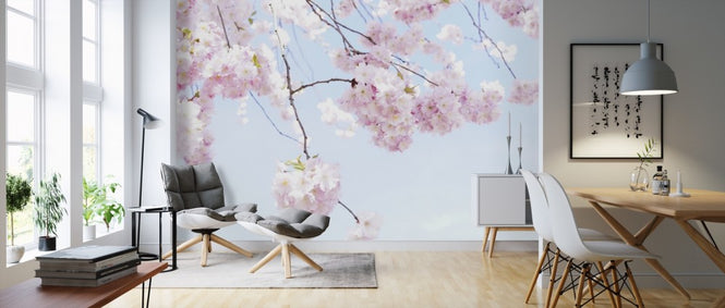 PHOTOWALL / Blooming Cherry Flowers (e310423)