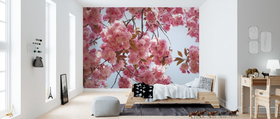 PHOTOWALL / Pink Cherry Flowers (e310434)