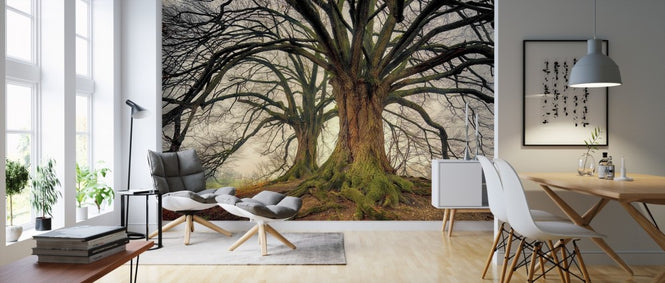 PHOTOWALL / Big Kahl Tree (e310446)