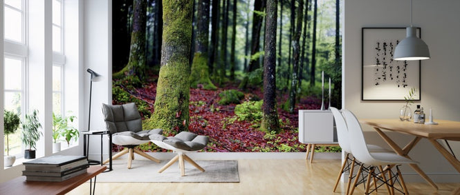 PHOTOWALL / Moss in Trees (e310447)
