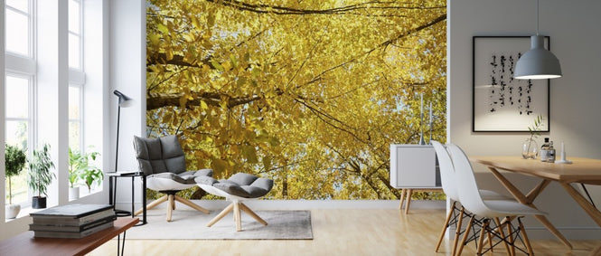 PHOTOWALL / Yellow Leaves (e310449)
