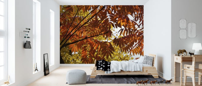 PHOTOWALL / Gingko Leaves (e310451)