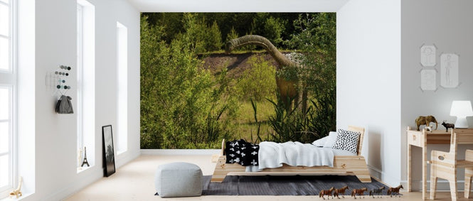 PHOTOWALL / Long-Necked Dinosaur (e310462)