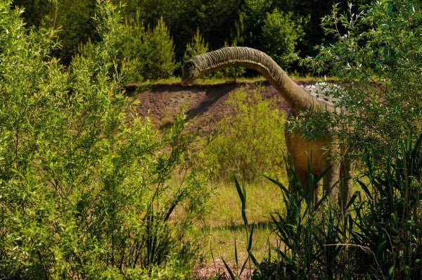PHOTOWALL / Long-Necked Dinosaur (e310462)