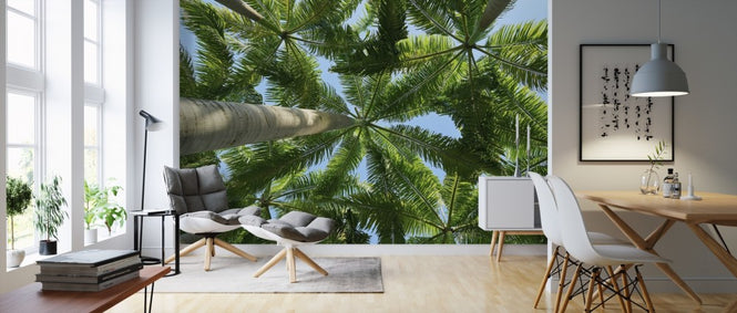 PHOTOWALL / Palm Tree (e310473)