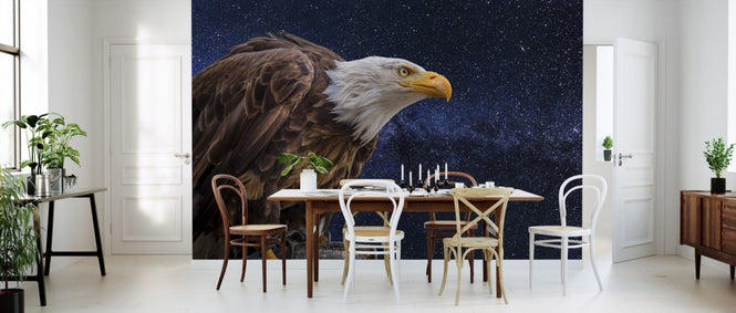 PHOTOWALL / The Bald Eagle (e310475)