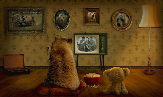 PHOTOWALL / Bear and Teddy (e310476)
