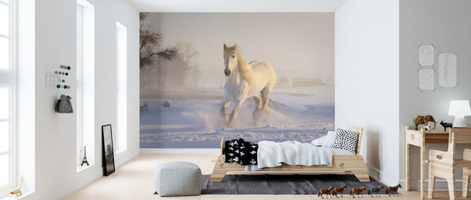 PHOTOWALL / White Horse (e310477)