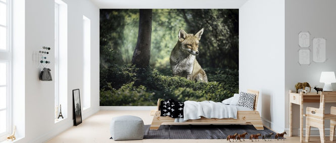 PHOTOWALL / Little Brown Fox (e310479)