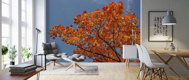 PHOTOWALL / Maple Leaves (e310483)