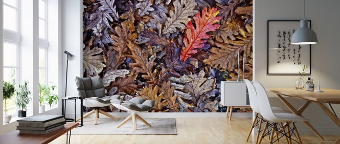 PHOTOWALL / Fallen Oak Leaves (e310486)