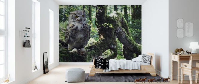PHOTOWALL / Young Eagle Owl (e310487)