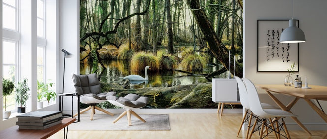 PHOTOWALL / Swan in Swamp (e310489)
