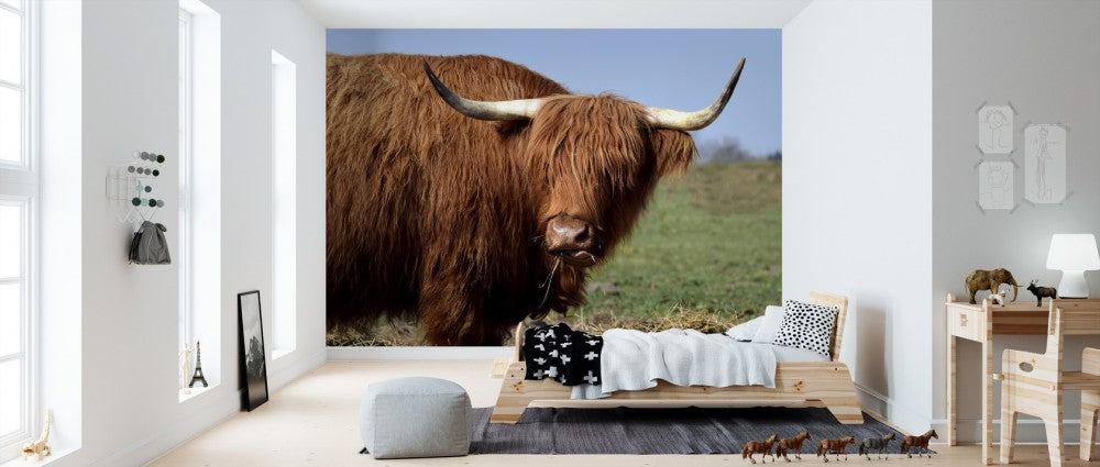 PHOTOWALL / Galloway (e310498) | 輸入壁紙専門店 WALPA – WALPA.jp