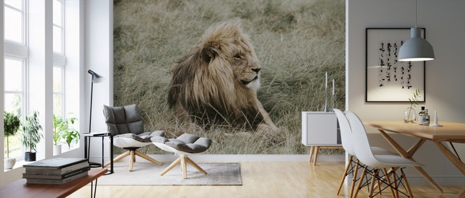 PHOTOWALL / Lion (e310503)