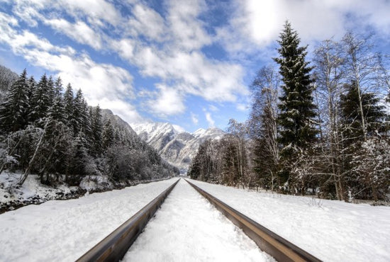 PHOTOWALL / Snow Covered Railway (e310517)