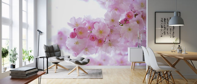 PHOTOWALL / Blossom Cherry Flowers (e310524)