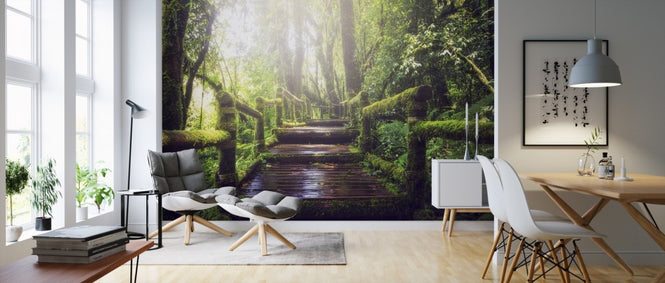 PHOTOWALL / Pathway in the Forest (e310551)