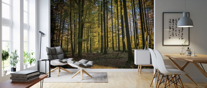 PHOTOWALL / The Woods (e310553)