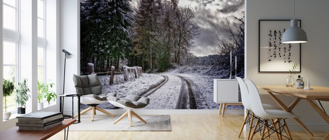 PHOTOWALL / Tracks in Snowy Road (e310558)