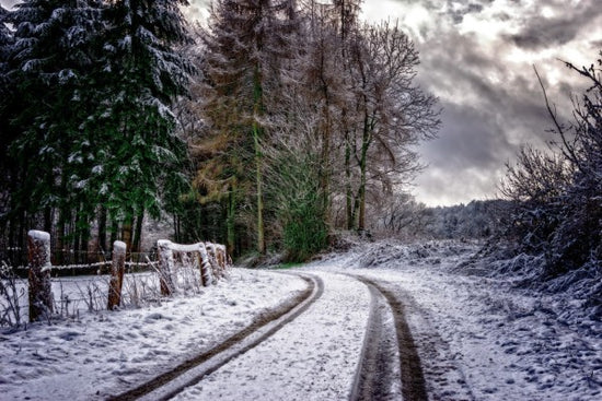 PHOTOWALL / Tracks in Snowy Road (e310558)