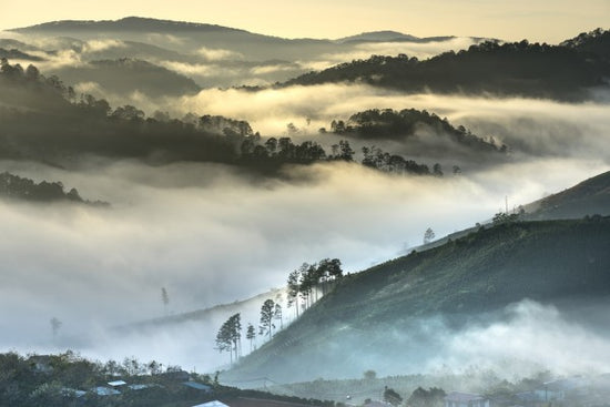 PHOTOWALL / Fog in the Hills (e310584)