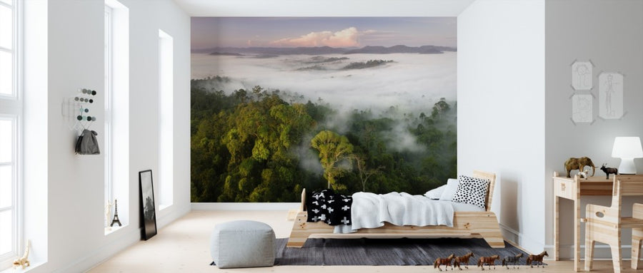 PHOTOWALL / Lowland Rainforest Mist (e310363)