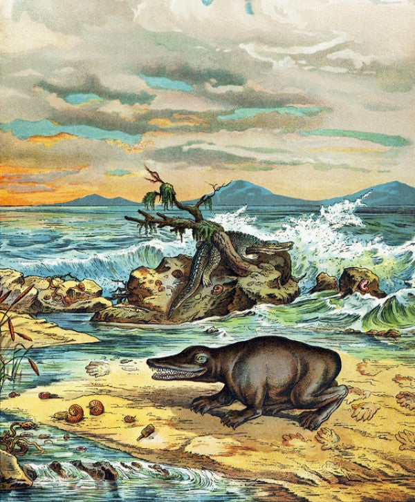 PHOTOWALL / Triassic Coastal Environment (e310367)