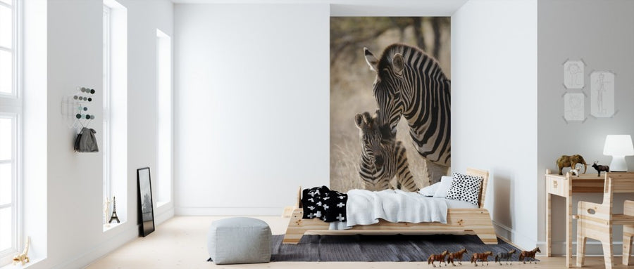 PHOTOWALL / Plains Zebra (e310372)